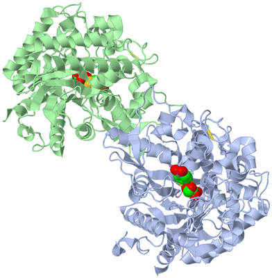 Image Asym./Biol. Unit