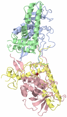 Image Asym./Biol. Unit