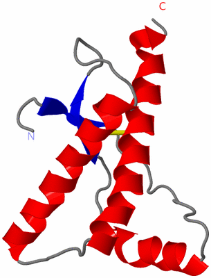 Image NMR Structure - model 1