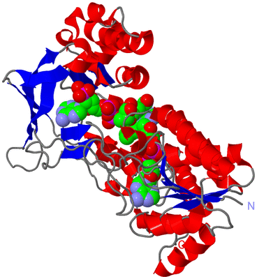 Image Asym./Biol. Unit