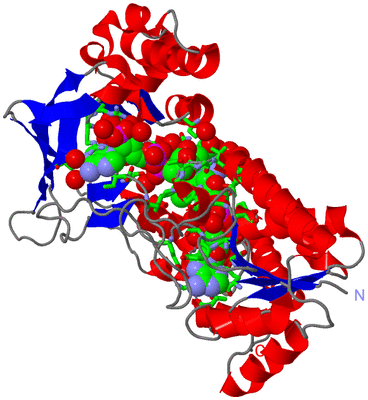 Image Asym./Biol. Unit - sites