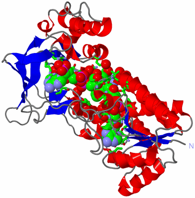 Image Asym./Biol. Unit - sites