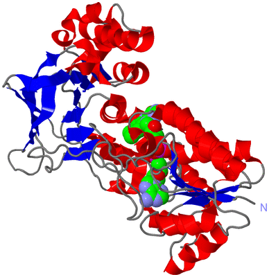 Image Asym./Biol. Unit