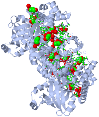 Image Biol. Unit 1 - sites