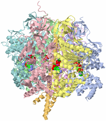 Image Asym./Biol. Unit