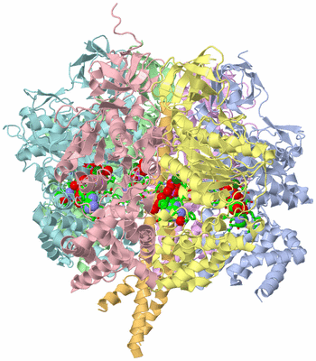 Image Asym./Biol. Unit - sites