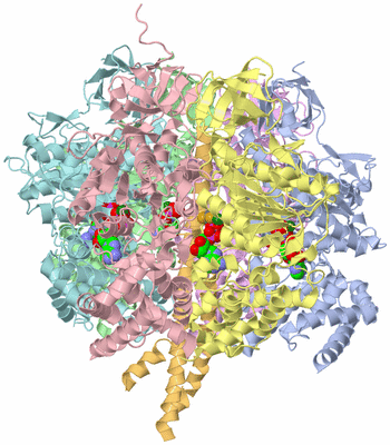 Image Asym./Biol. Unit