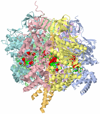 Image Asym./Biol. Unit - sites