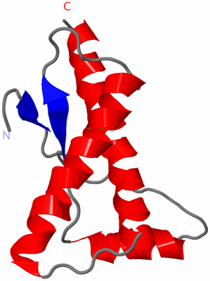 Image NMR Structure - model 1