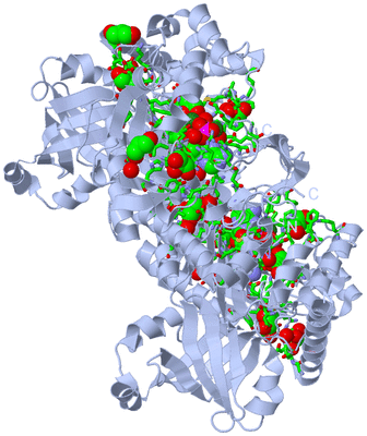 Image Biol. Unit 1 - sites