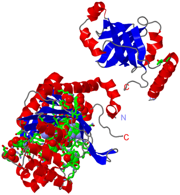 Image Asym. Unit - sites