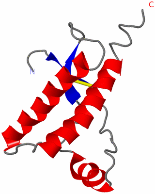 Image NMR Structure - model 1