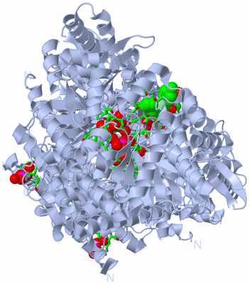 Image Biol. Unit 1 - sites