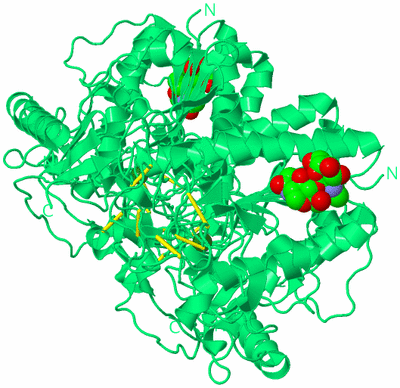 Image Biological Unit 1