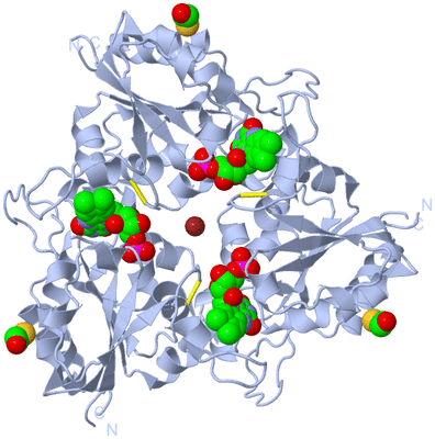 Image Biological Unit 1