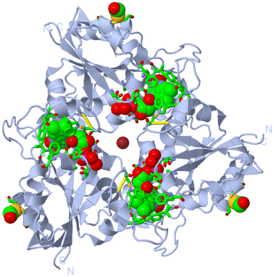 Image Biol. Unit 1 - sites