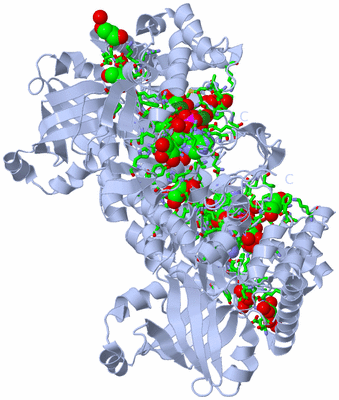 Image Biol. Unit 1 - sites