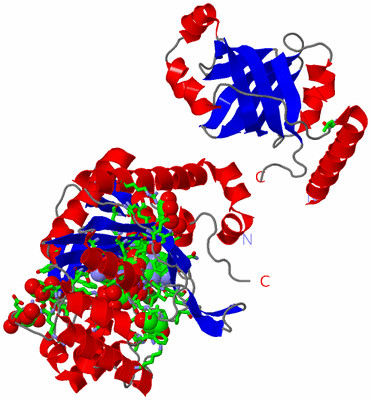 Image Asym. Unit - sites