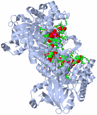 Image Biol. Unit 1 - sites