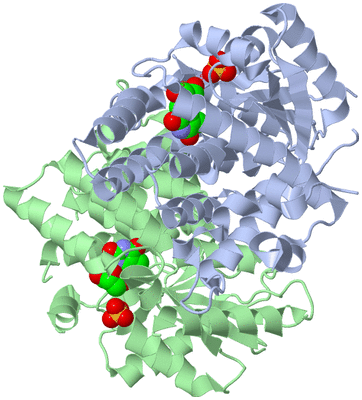 Image Asym./Biol. Unit