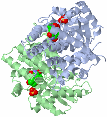 Image Asym./Biol. Unit