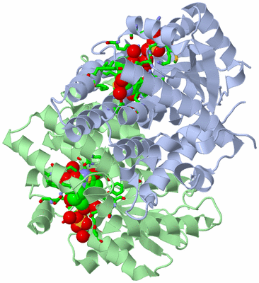 Image Asym./Biol. Unit - sites