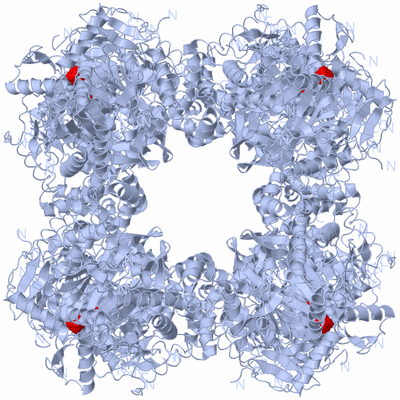 Image Biological Unit 1