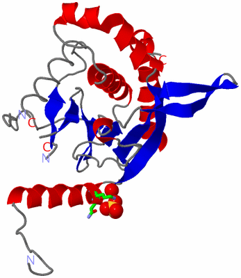 Image Asym. Unit - sites