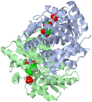 Image Asym./Biol. Unit