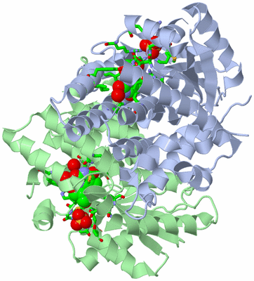 Image Asym./Biol. Unit - sites