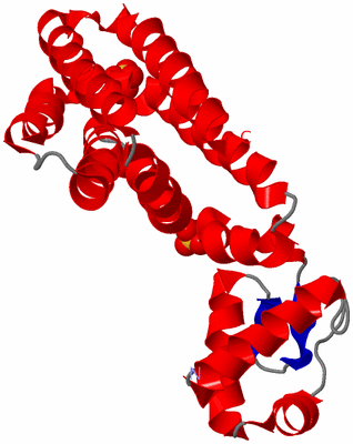 Image Asymmetric Unit