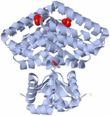 Image Biological Unit 1