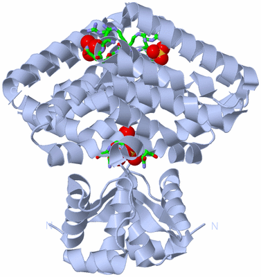 Image Biol. Unit 1 - sites