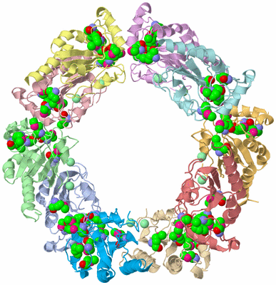 Image Asym./Biol. Unit