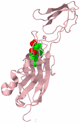 Image Biological Unit 3