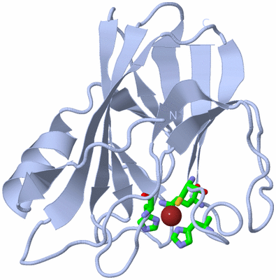 Image Biol. Unit 1 - sites