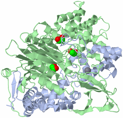 Image Asym./Biol. Unit