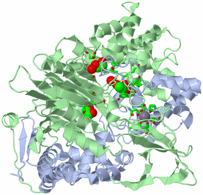 Image Asym./Biol. Unit - sites