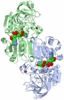 Image Asym./Biol. Unit