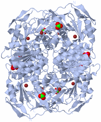 Image Biological Unit 1