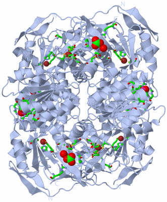 Image Biol. Unit 1 - sites