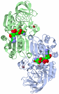 Image Asym./Biol. Unit