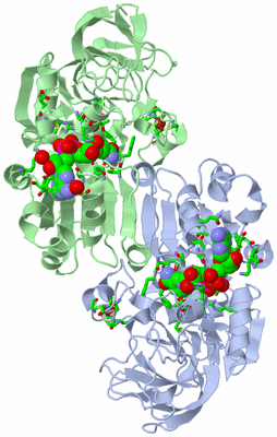 Image Asym./Biol. Unit - sites