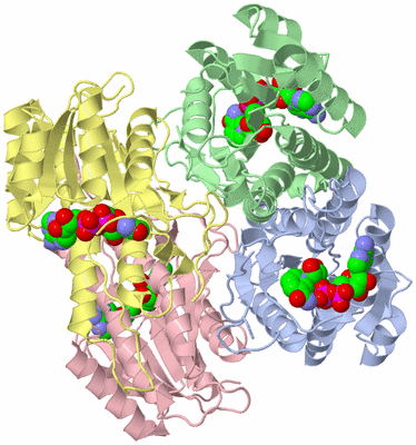 Image Asym./Biol. Unit