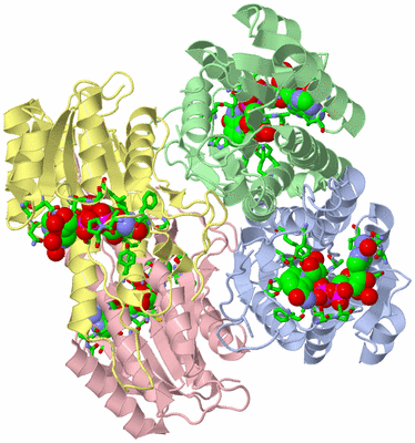 Image Asym./Biol. Unit - sites