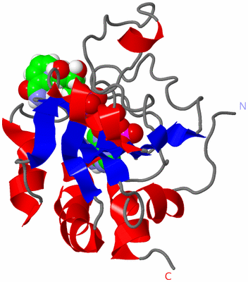 Image NMR Structure - model 1