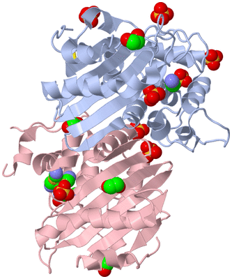 Image Biological Unit 1