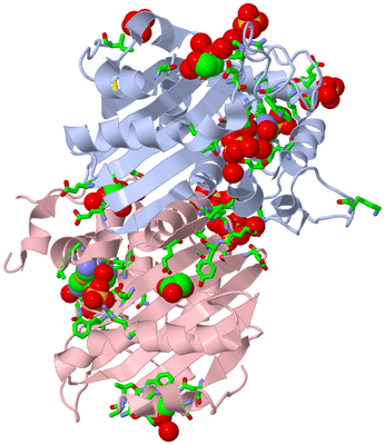 Image Biol. Unit 1 - sites