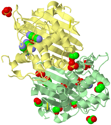 Image Biological Unit 2