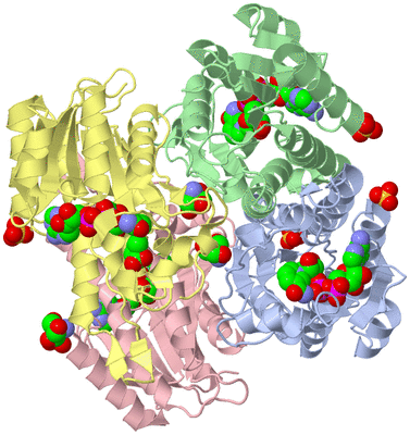 Image Asym./Biol. Unit